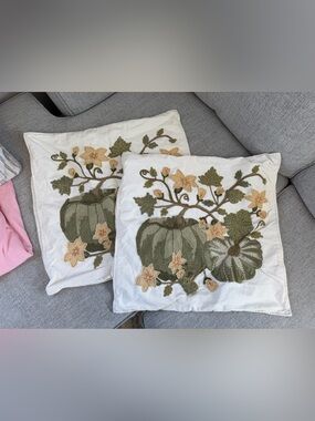 Pottery Barn 20x20 Throw Pillow Covers
